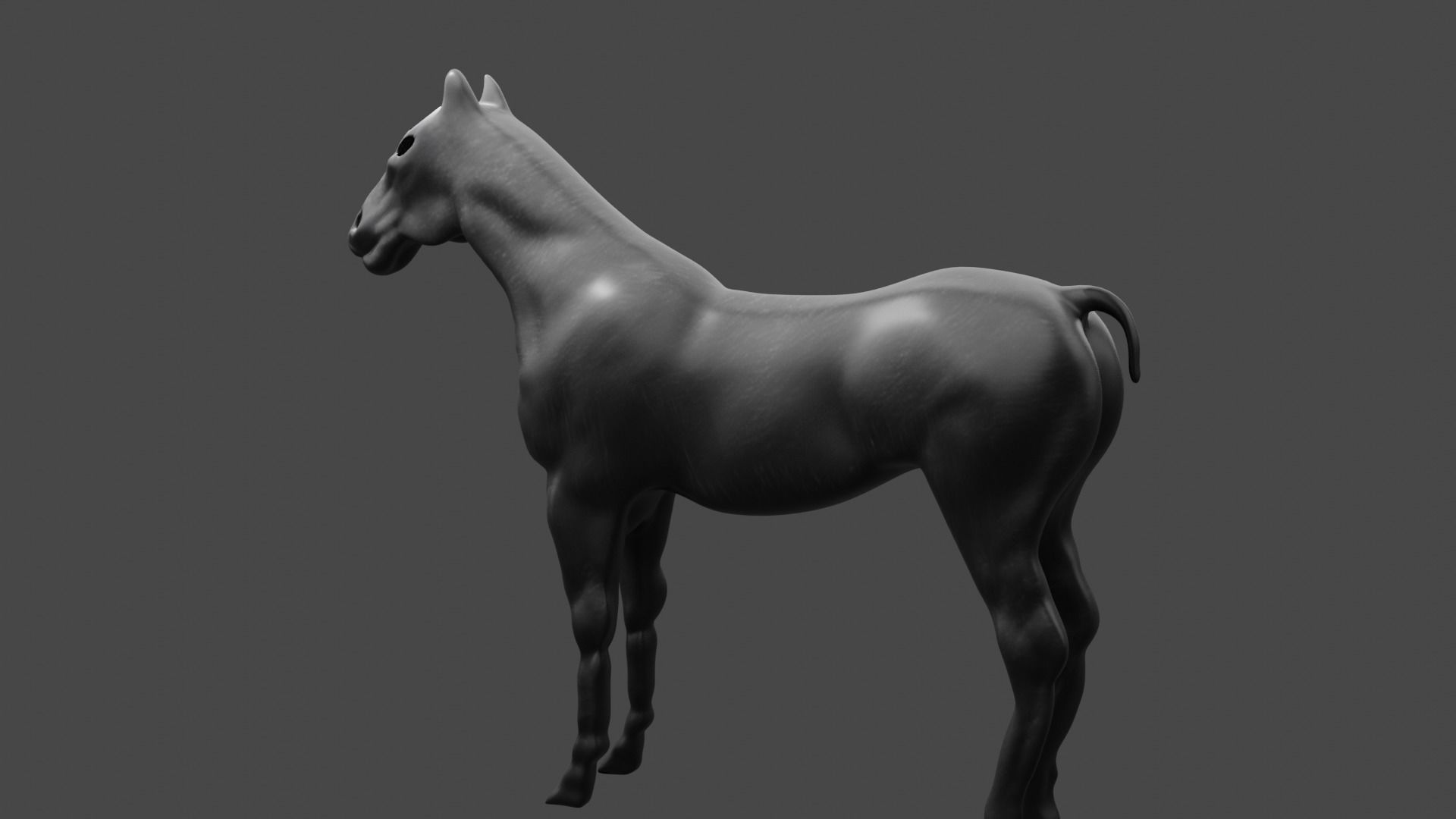 HIGH QUALITY HORSE 3D model_6