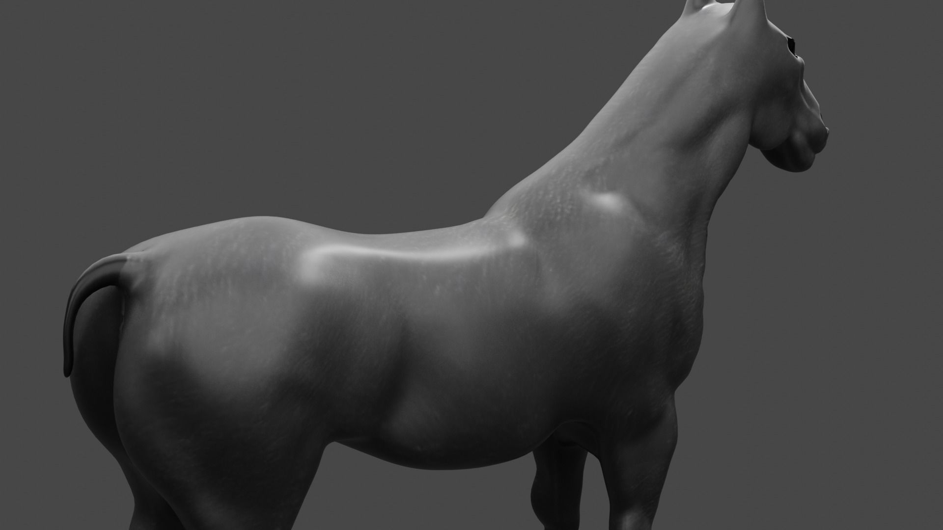 HIGH QUALITY HORSE 3D model_1
