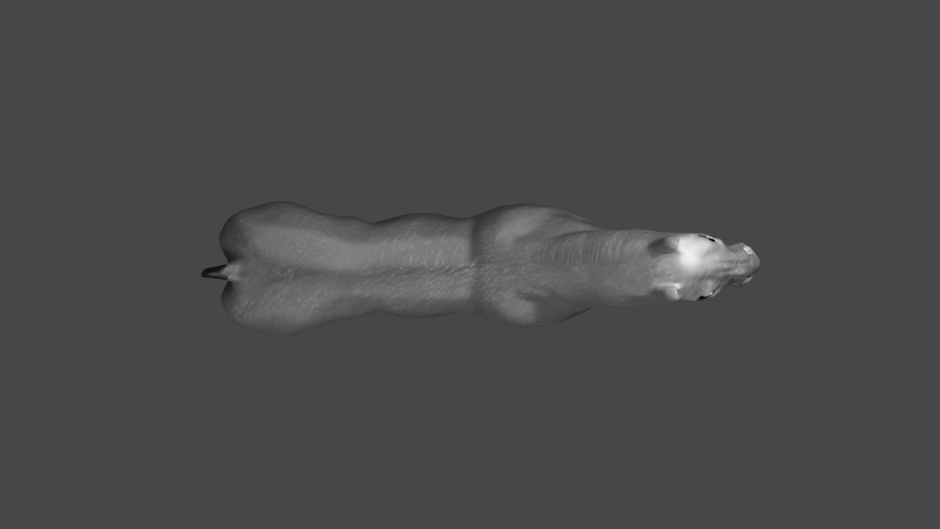 HIGH QUALITY HORSE 3D model_7