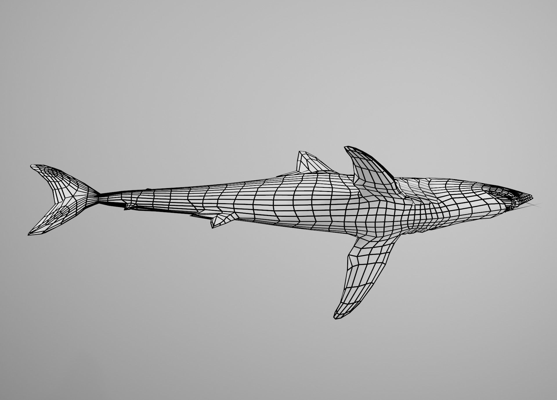 Mako Shark Low-poly 3D model_31