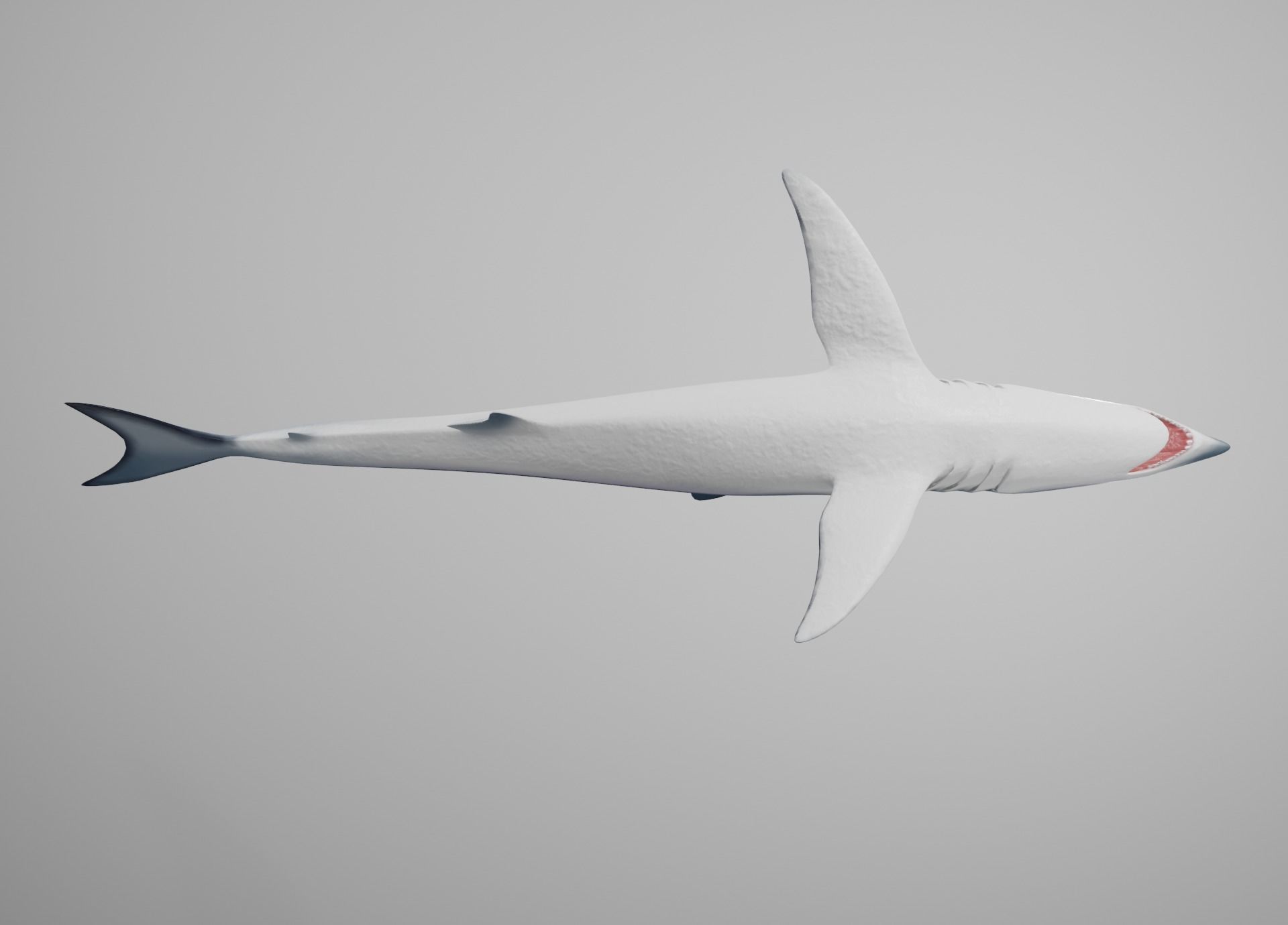 Mako Shark Low-poly 3D model_15