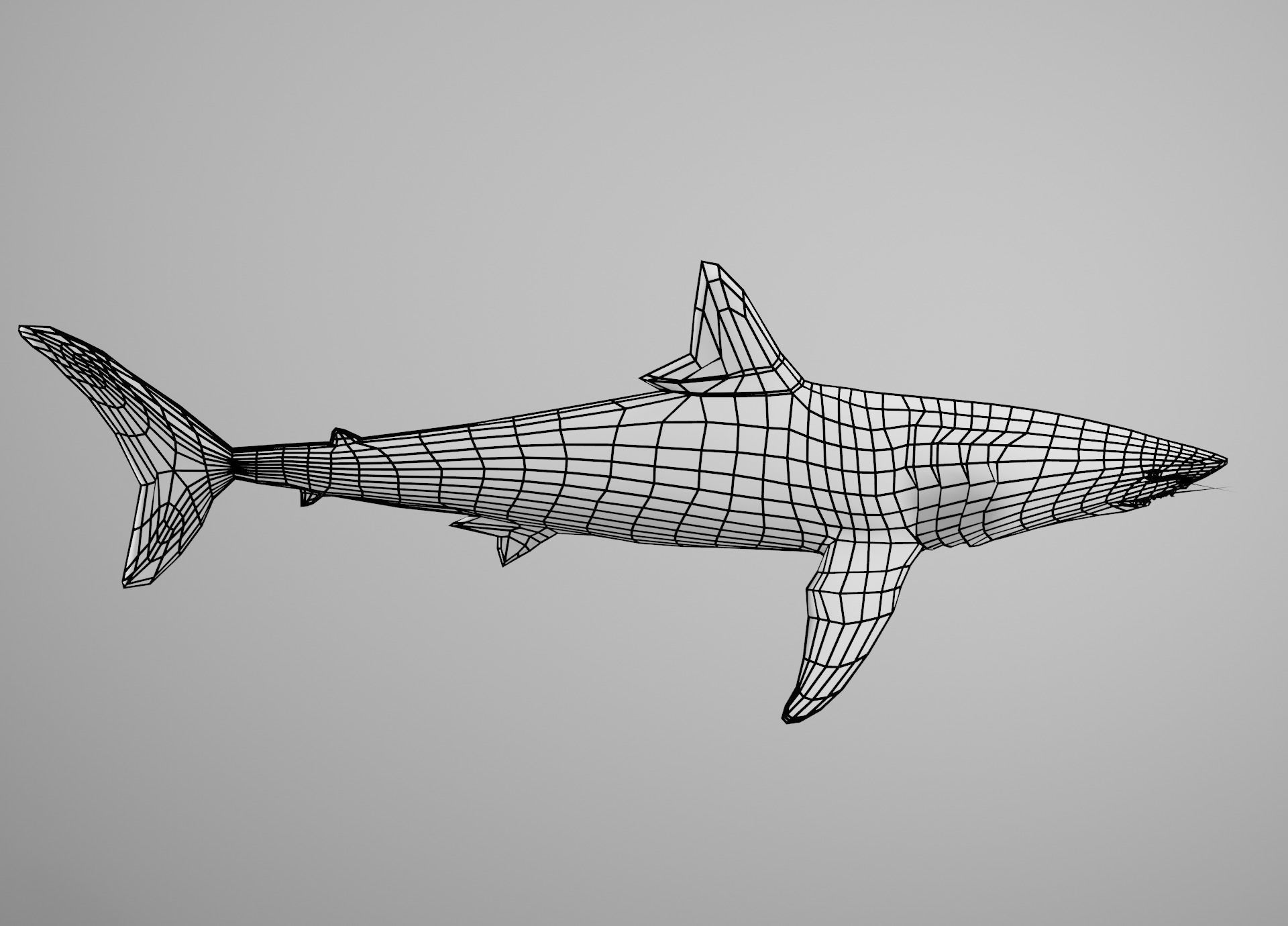 Mako Shark Low-poly 3D model_20