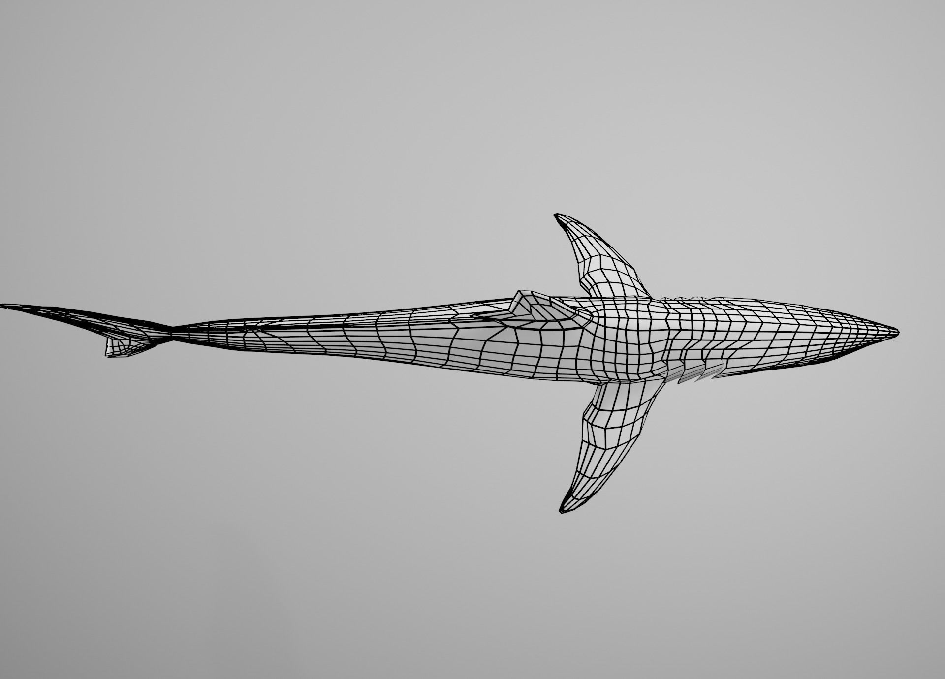 Mako Shark Low-poly 3D model_22