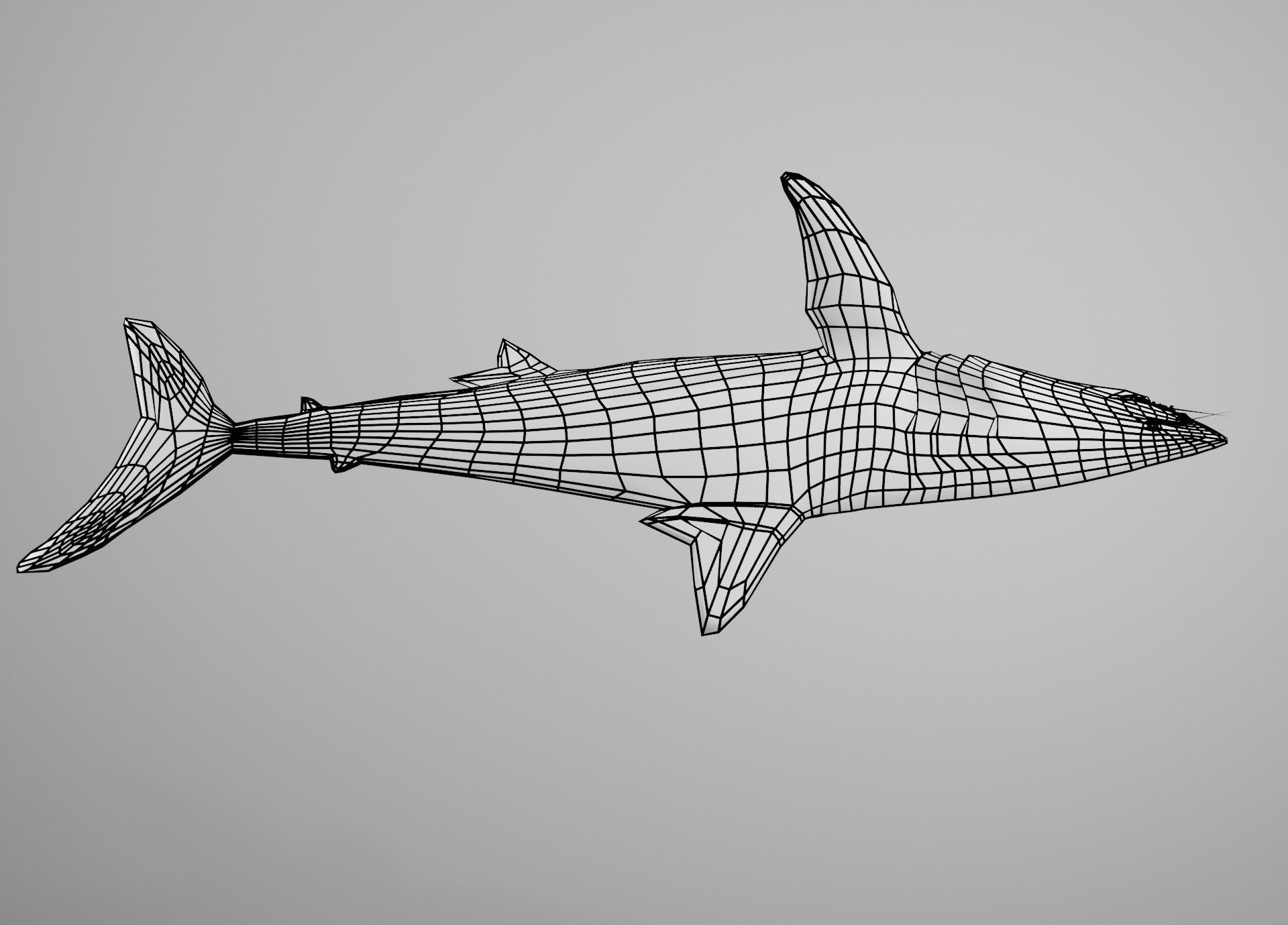 Mako Shark Low-poly 3D model_25