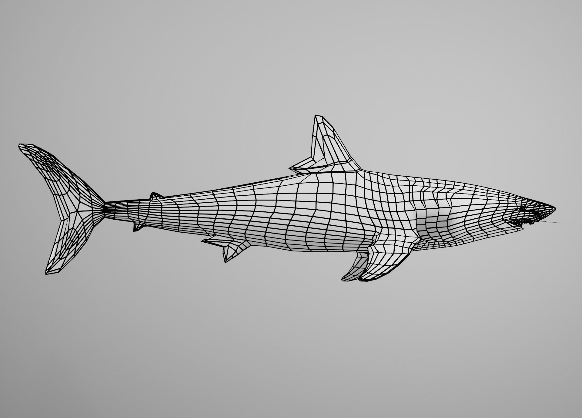 Mako Shark Low-poly 3D model_33