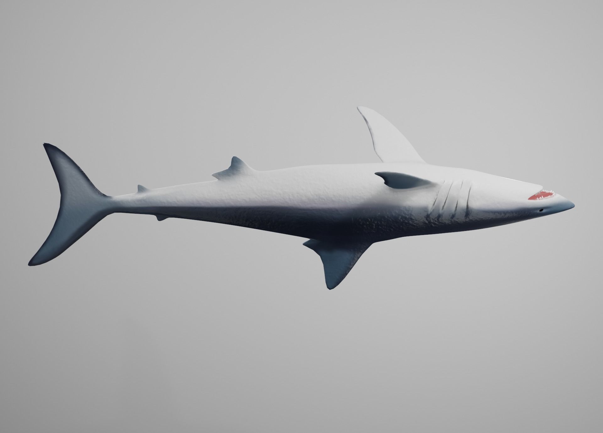 Mako Shark Low-poly 3D model_13