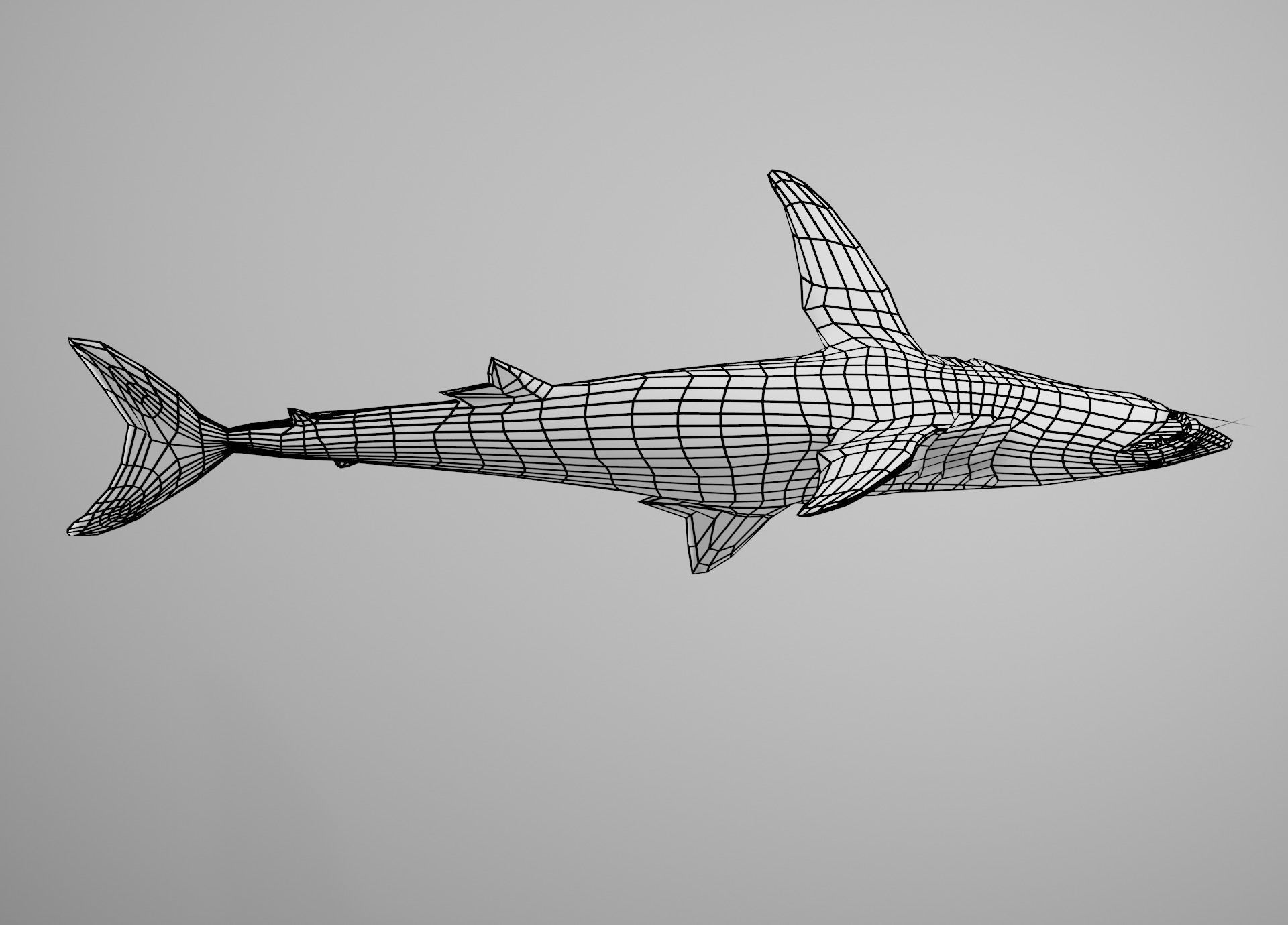 Mako Shark Low-poly 3D model_28