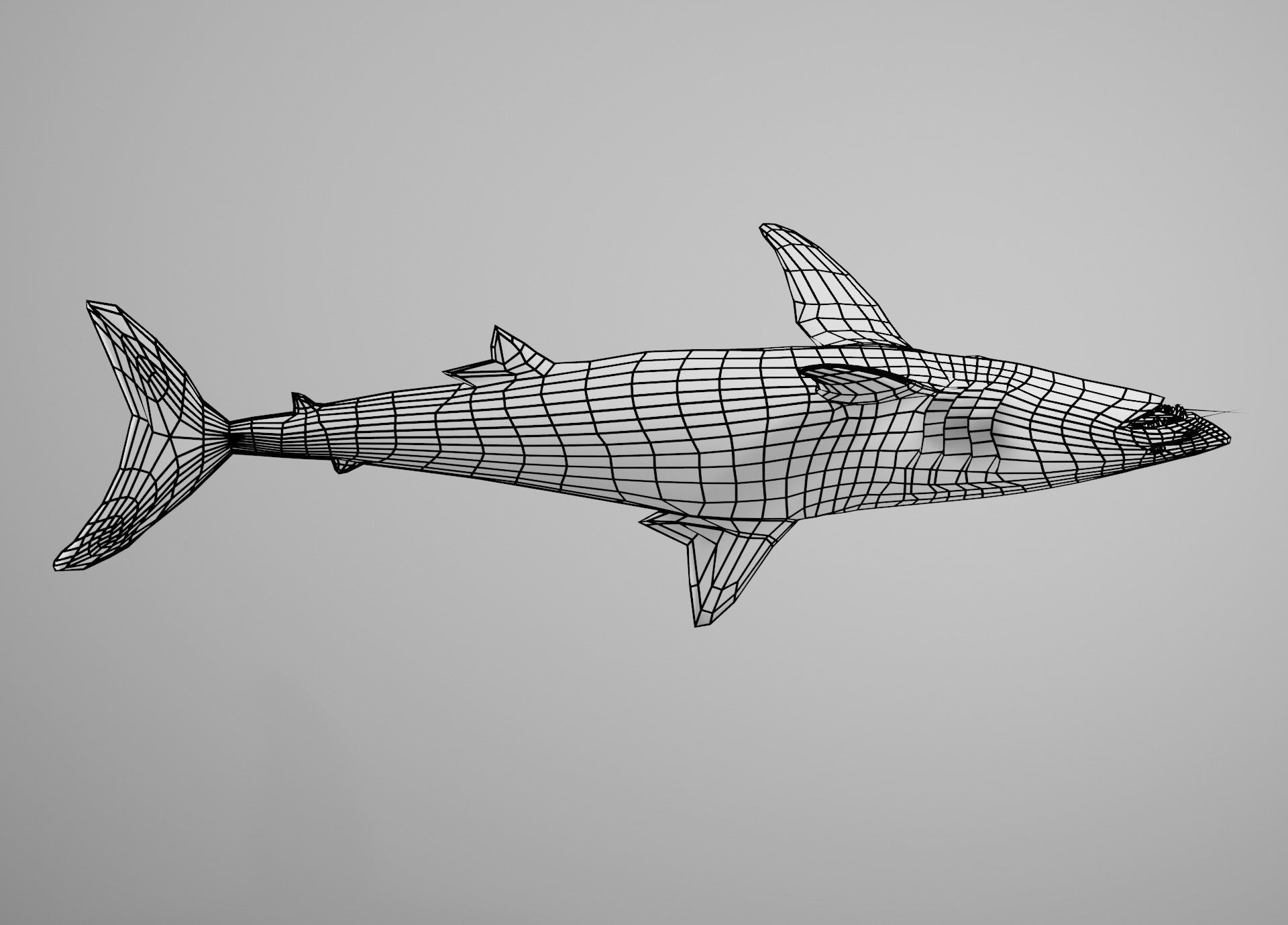Mako Shark Low-poly 3D model_27