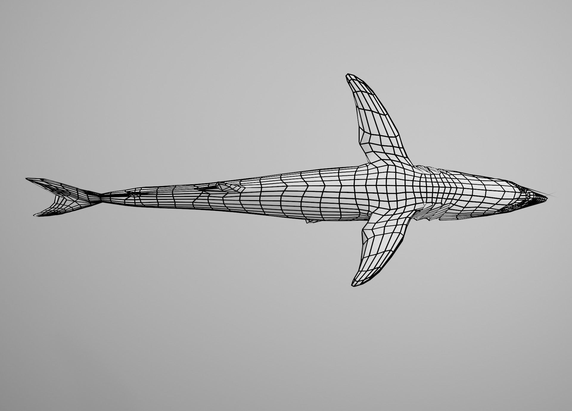 Mako Shark Low-poly 3D model_29