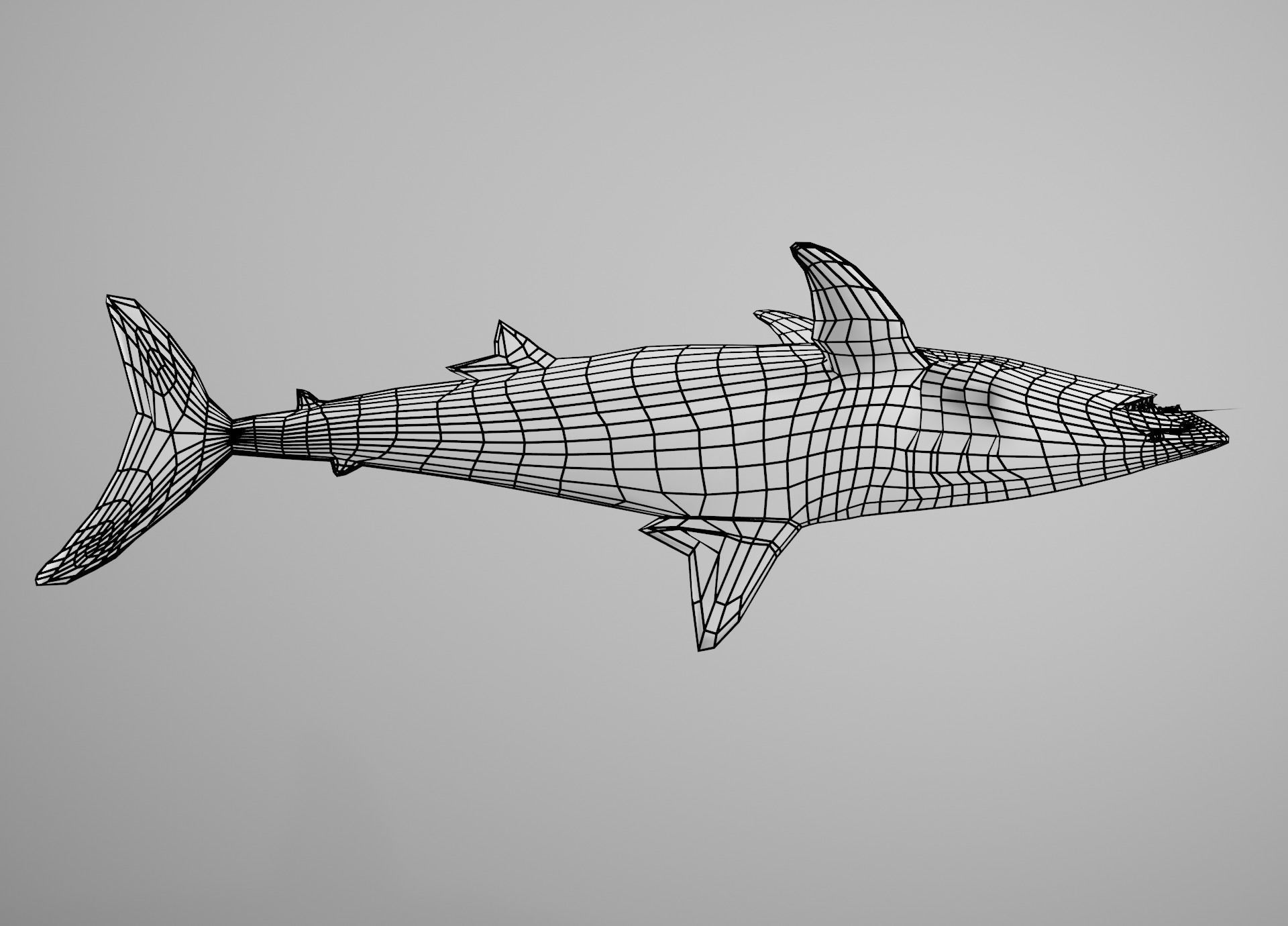 Mako Shark Low-poly 3D model_26