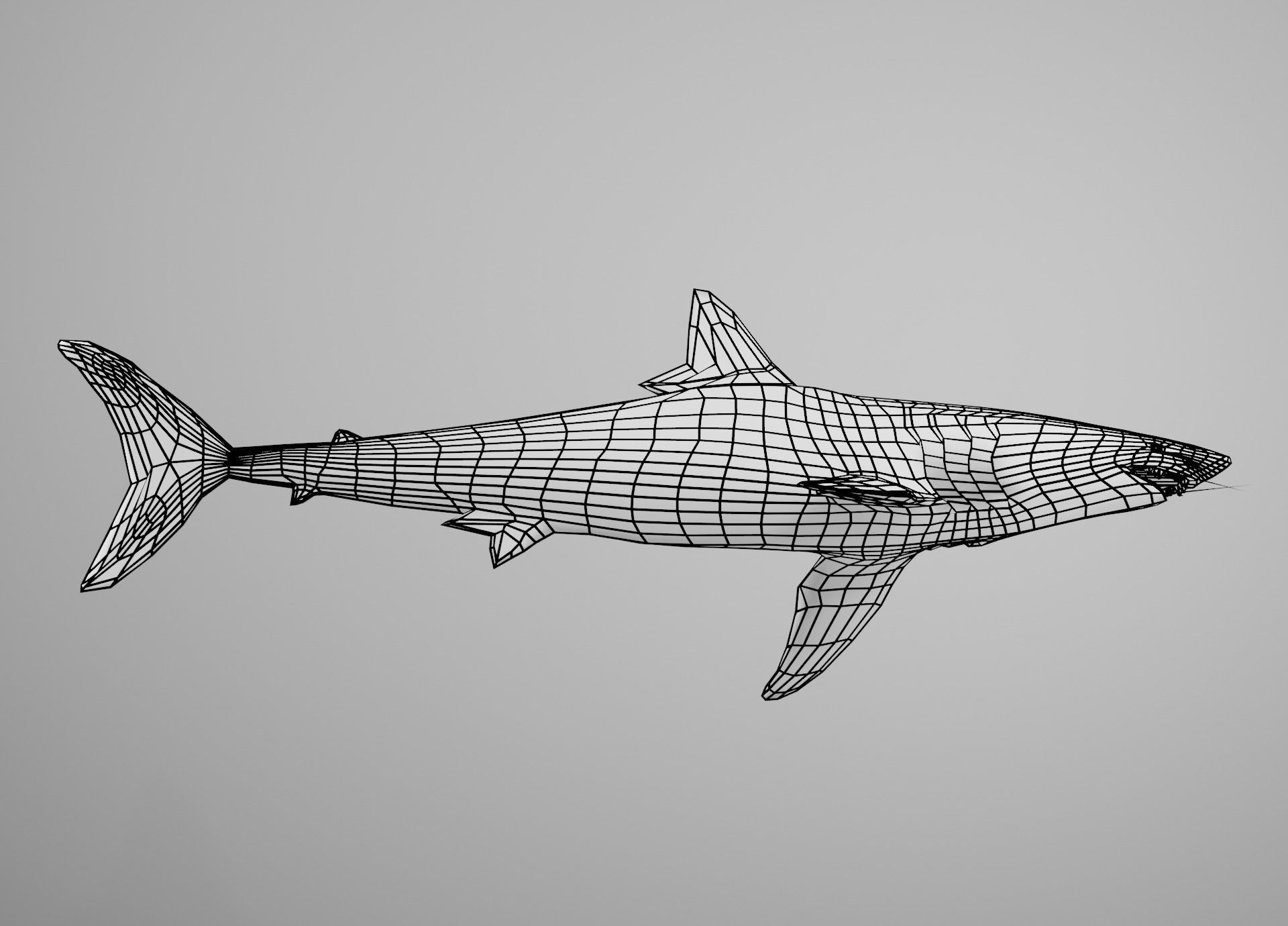 Mako Shark Low-poly 3D model_32