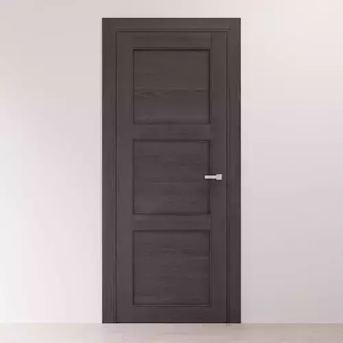 Gray oak interior door