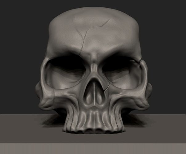 skull  FREE Free 3D model
