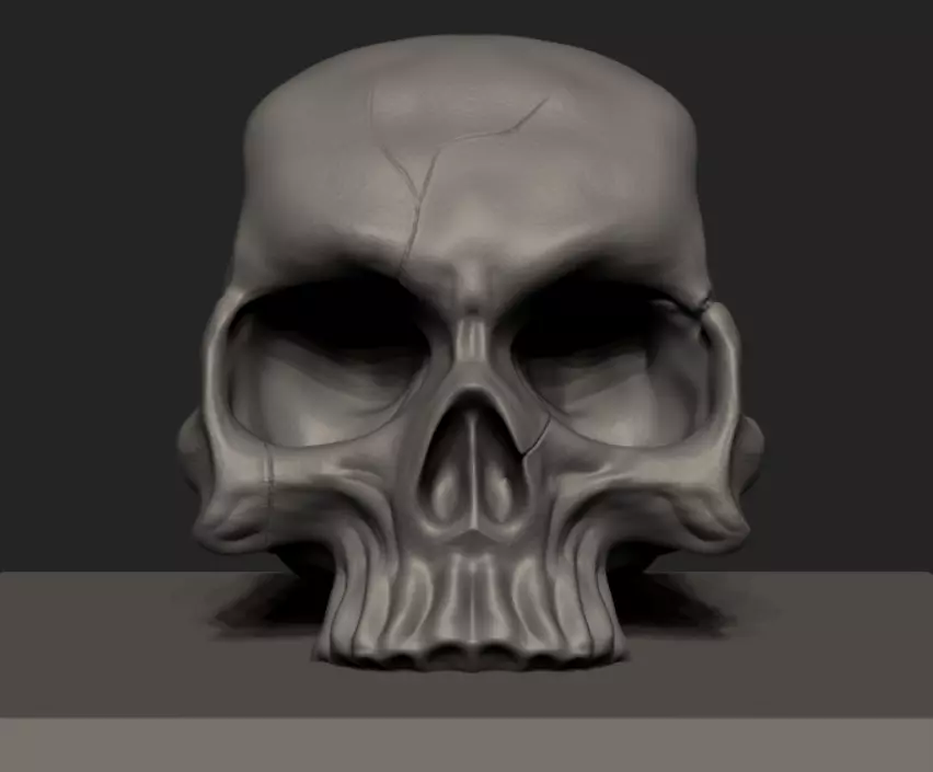 skull  FREE Free 3D model_0