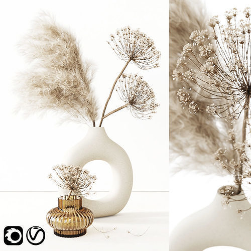 Dry Composition 3D model