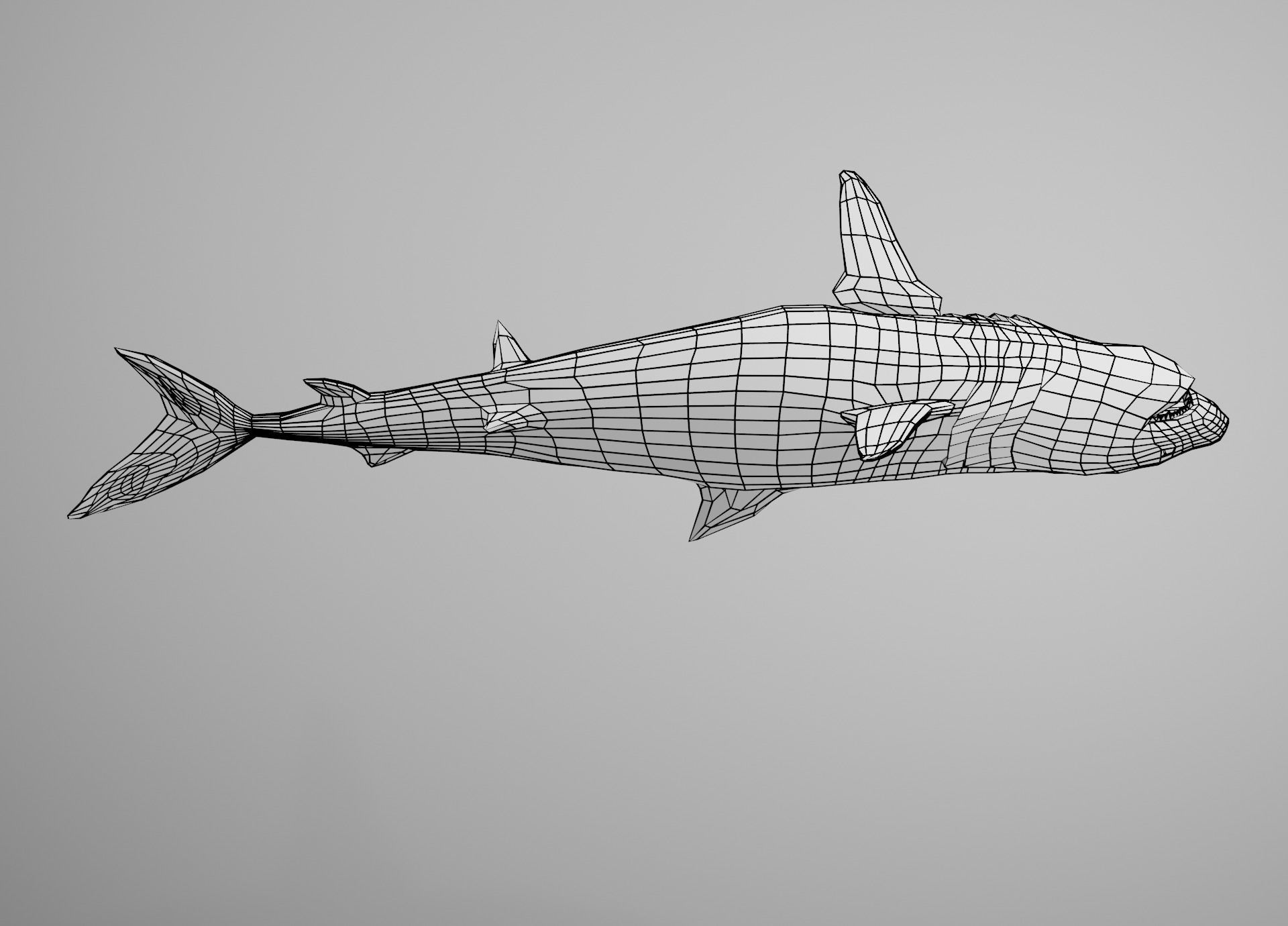 Tiger Shark Low-poly 3D model_28
