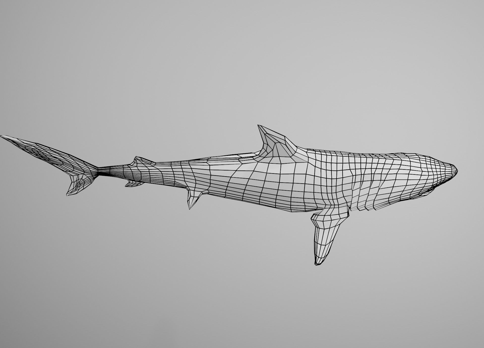 Tiger Shark Low-poly 3D model_21