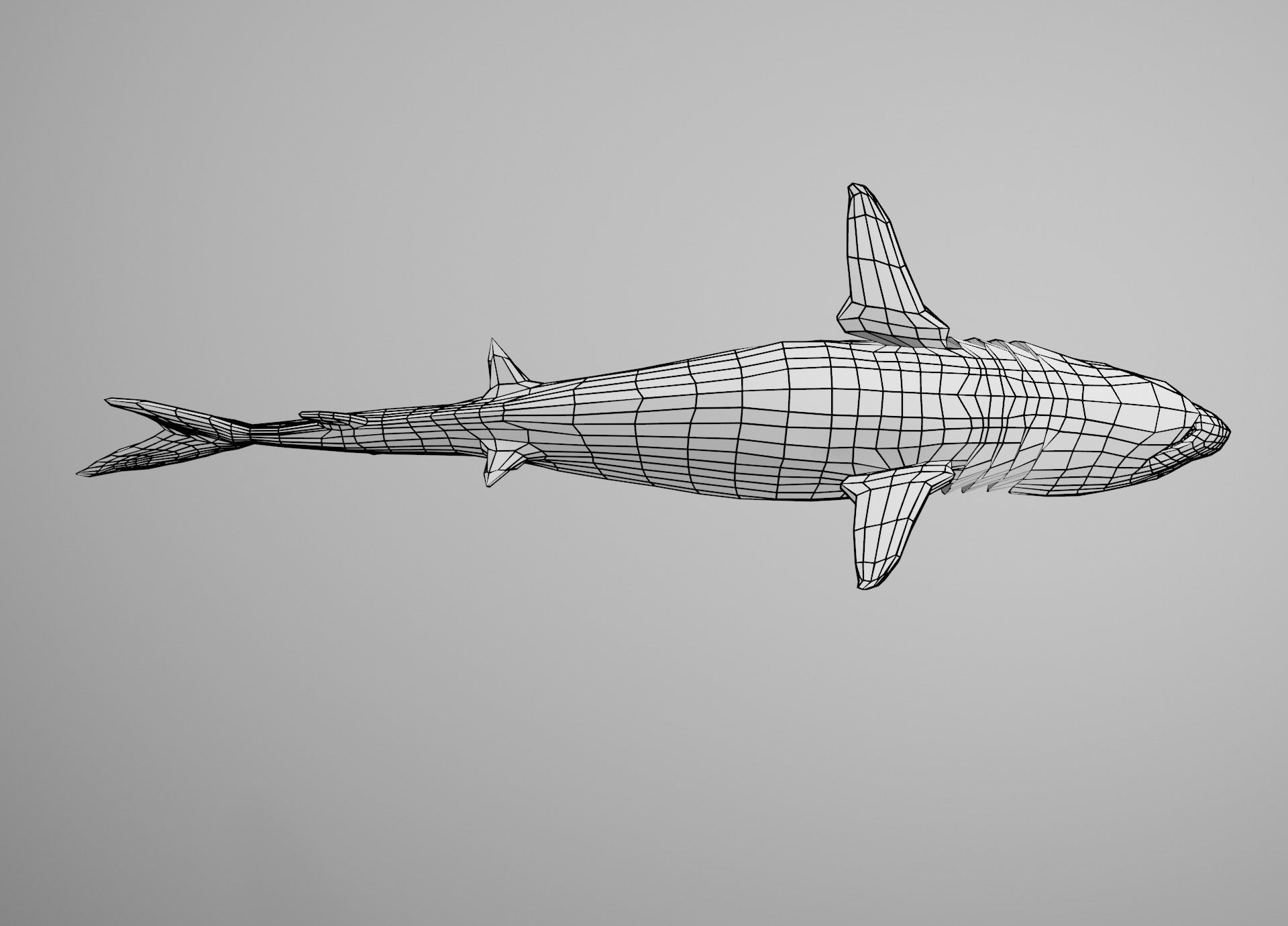 Tiger Shark Low-poly 3D model_29