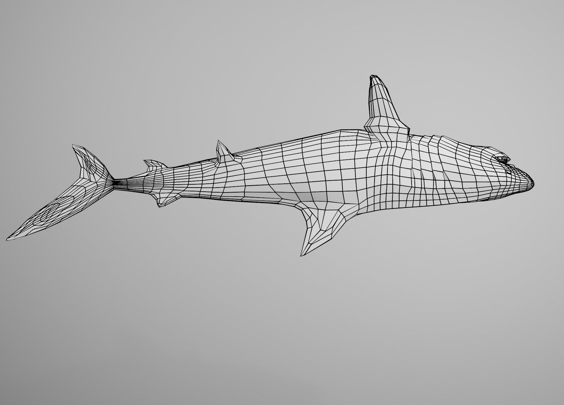 Tiger Shark Low-poly 3D model_25