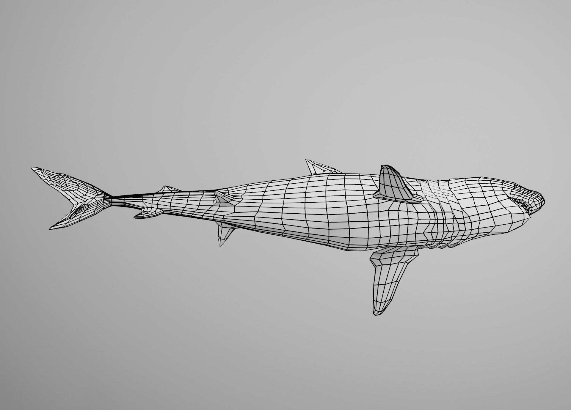 Tiger Shark Low-poly 3D model_31