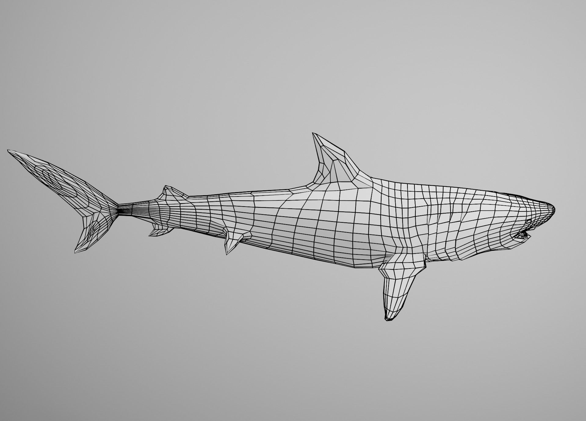 Tiger Shark Low-poly 3D model_20
