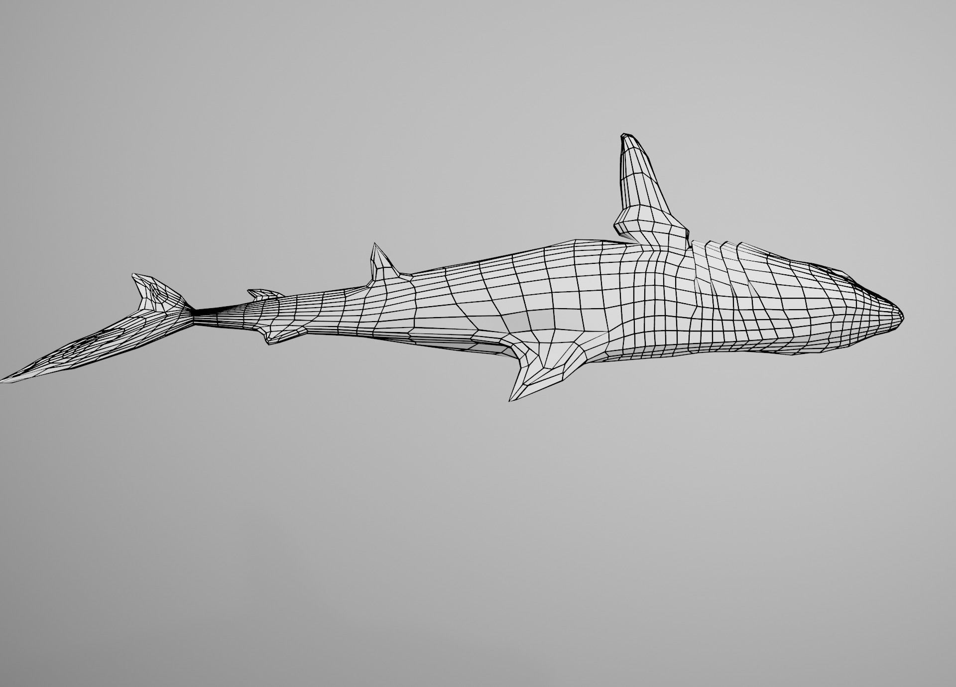 Tiger Shark Low-poly 3D model_24
