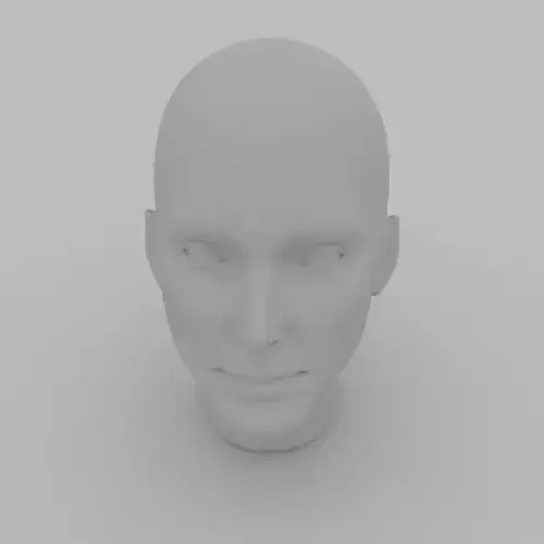 Female Head 3D model Female Head 3D model