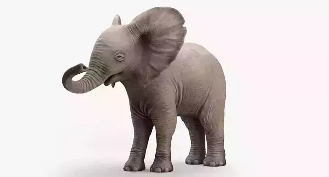 Animated Elephant  baby 8K Low-poly 3D model