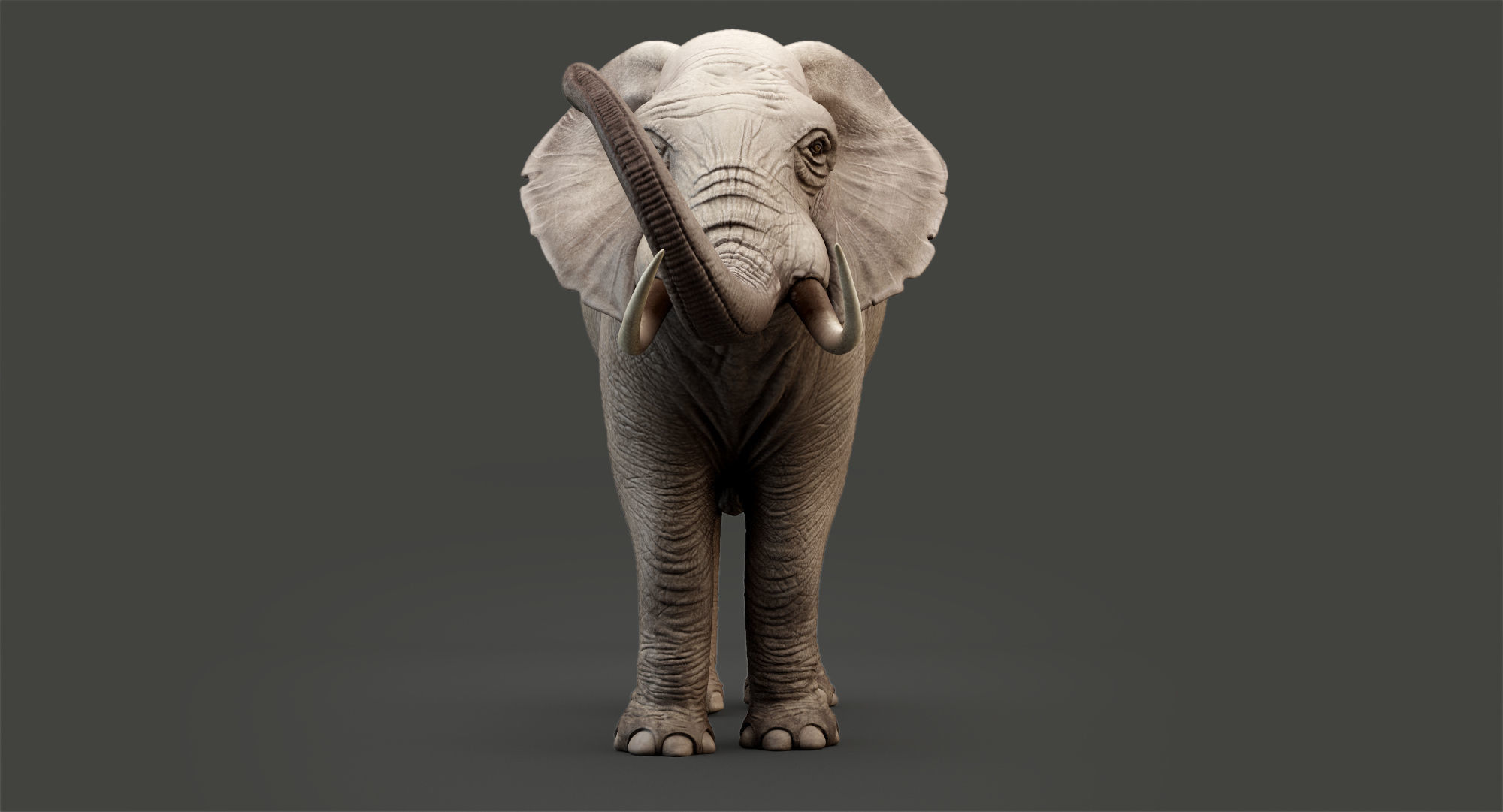 Animated Elephant 8K Low-poly 3D model_16