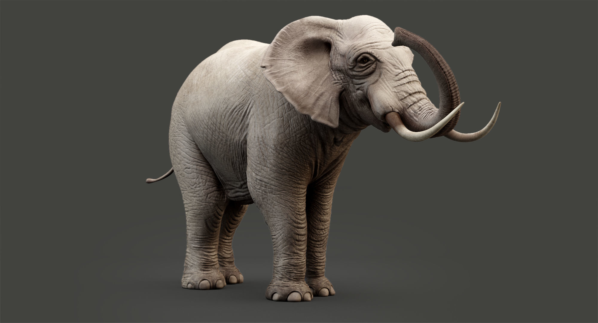 Animated Elephant 8K Low-poly 3D model_17