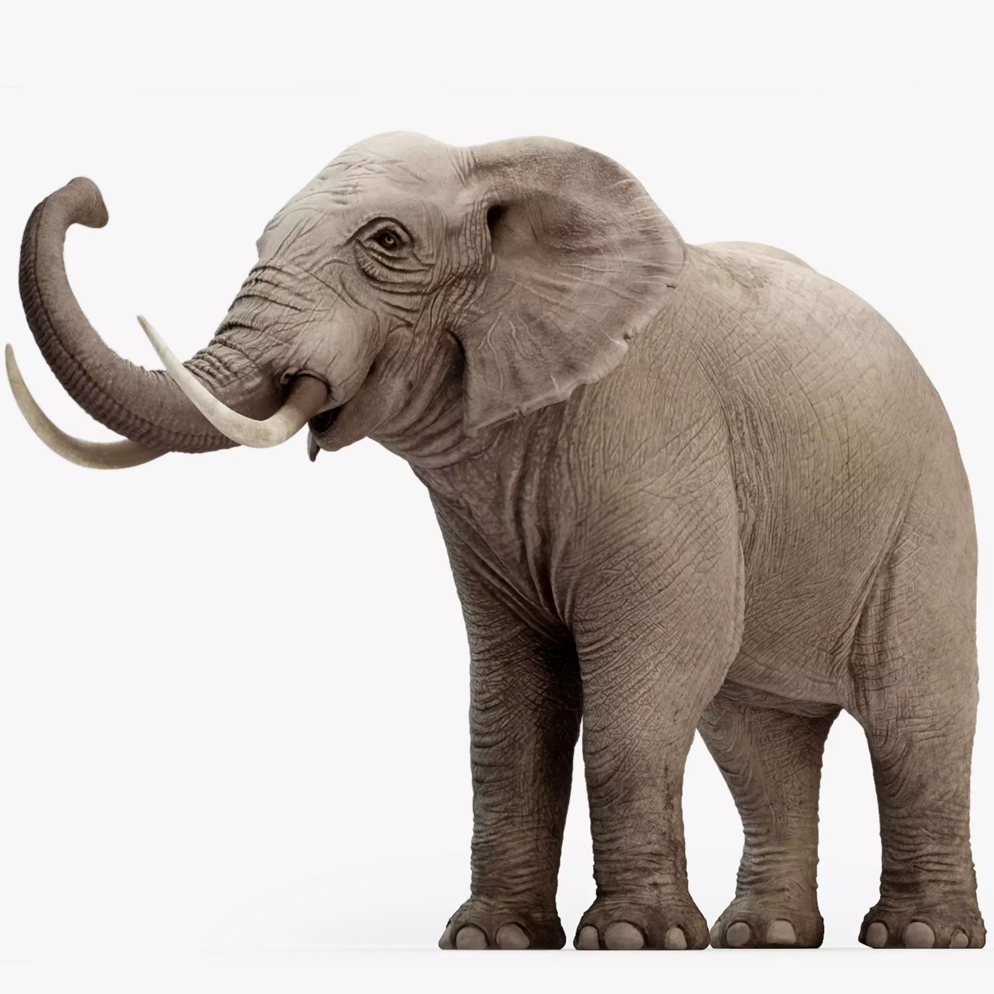 Animated Elephant 8K Low-poly 3D model_0