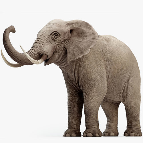 Animated Elephant 8K Low-poly 3D model
