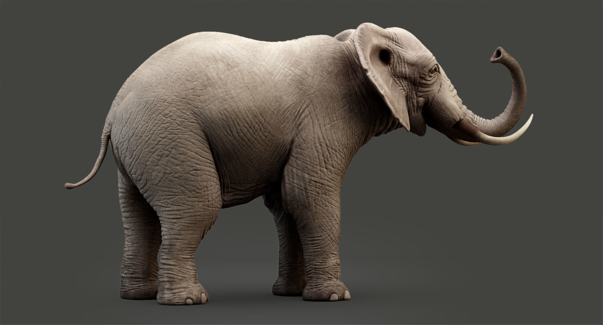 Animated Elephant 8K Low-poly 3D model_19