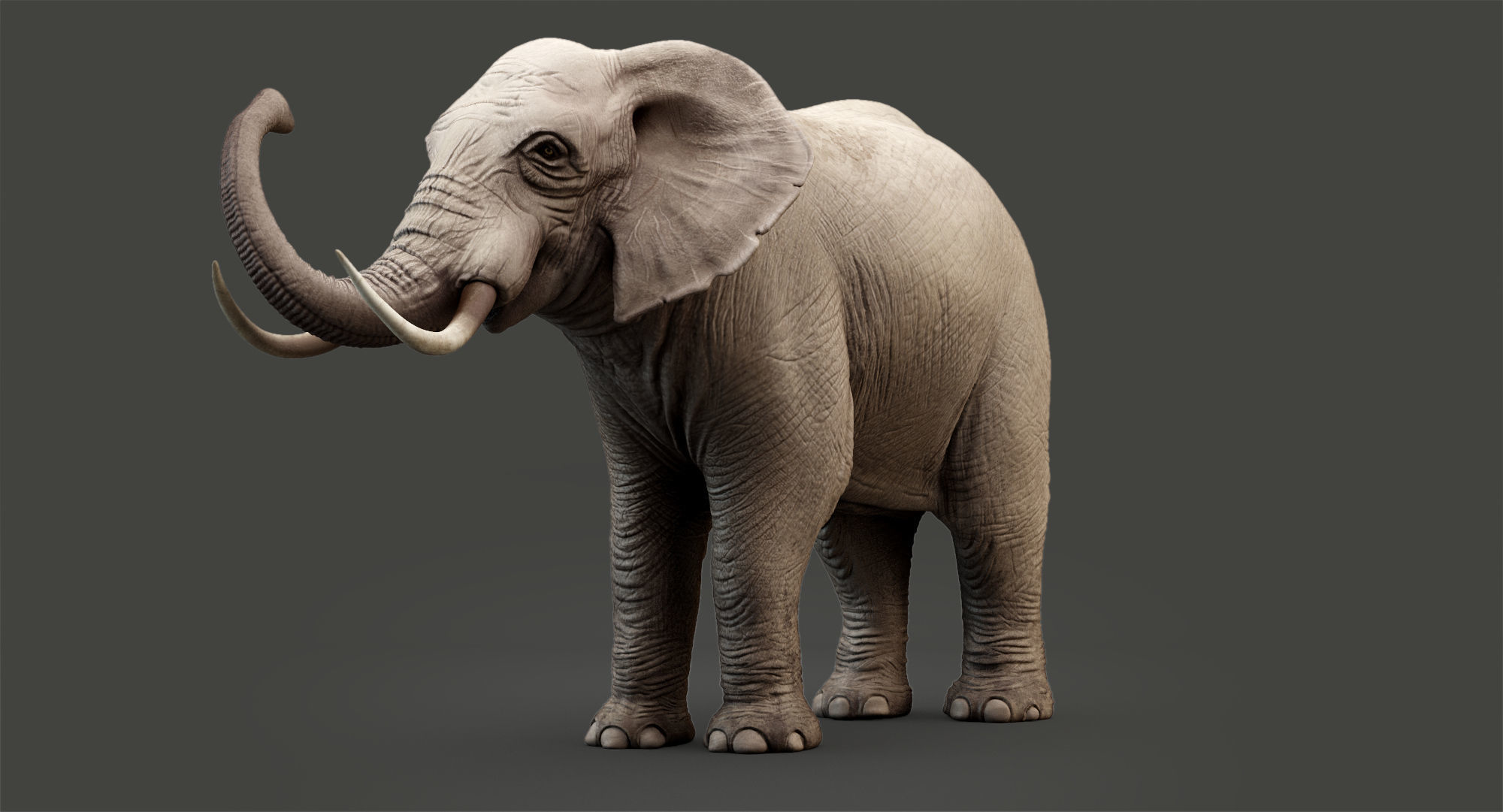 Animated Elephant 8K Low-poly 3D model_24