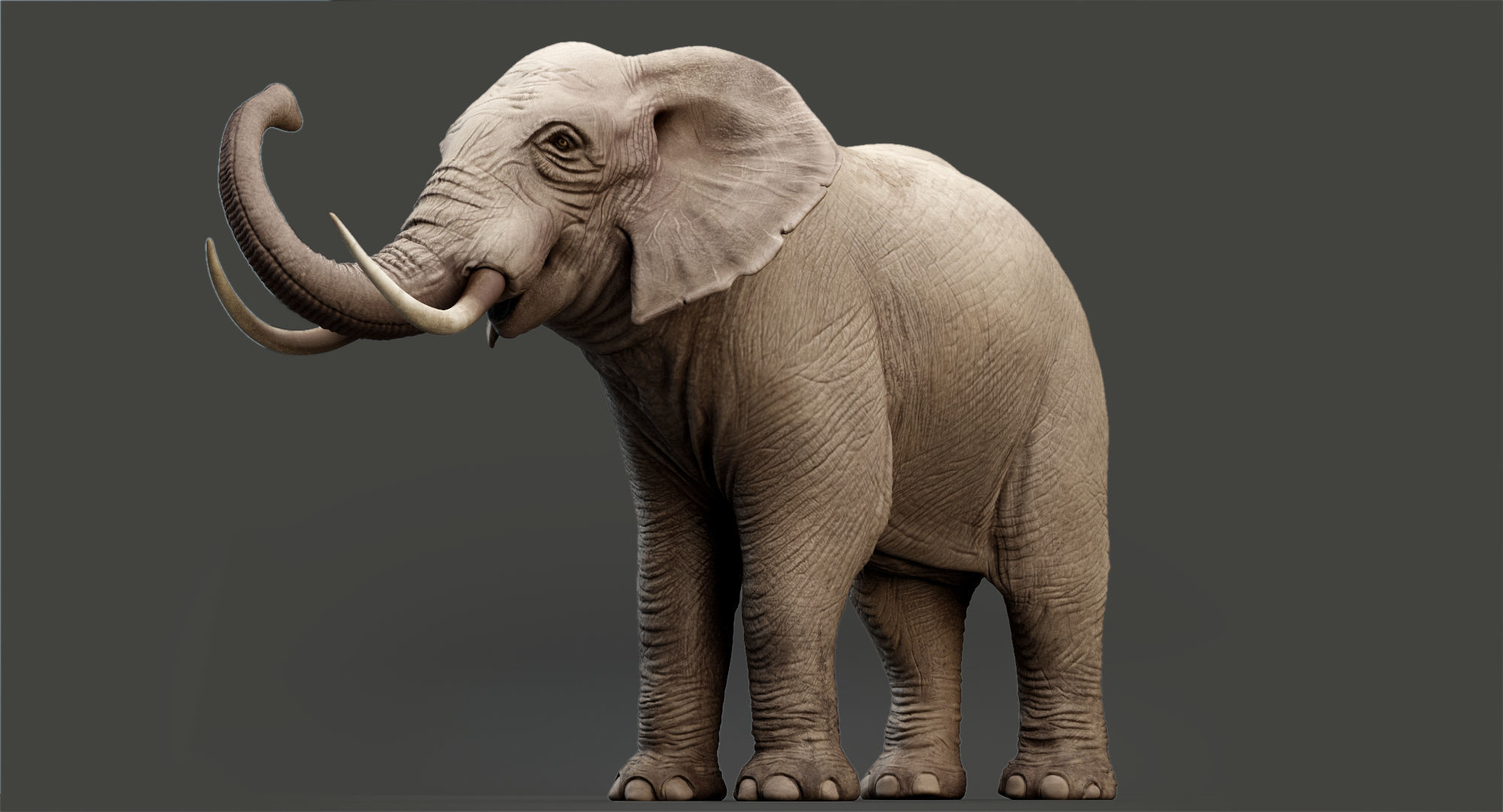Animated Elephant 8K Low-poly 3D model_25