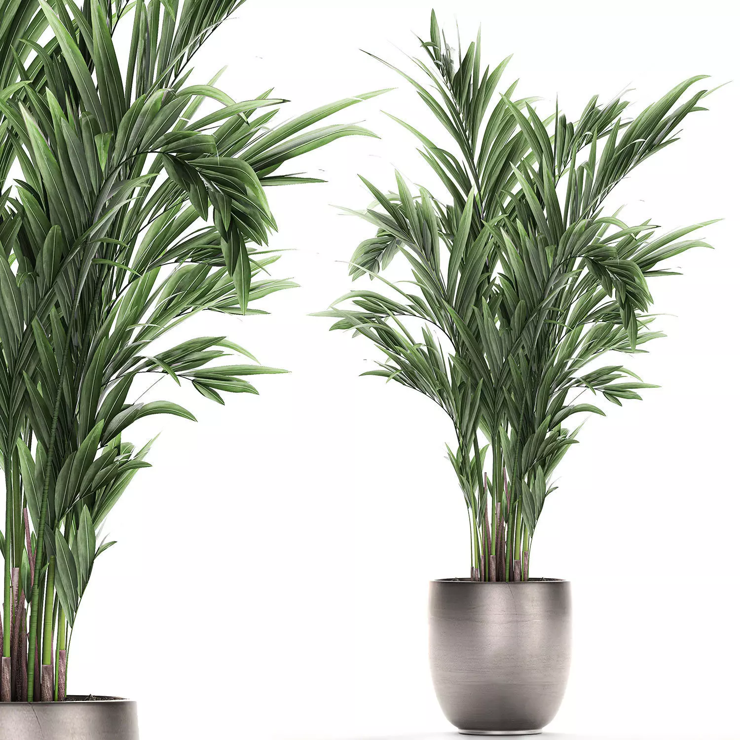 Decorative palm in a flowerpot 693 3D model