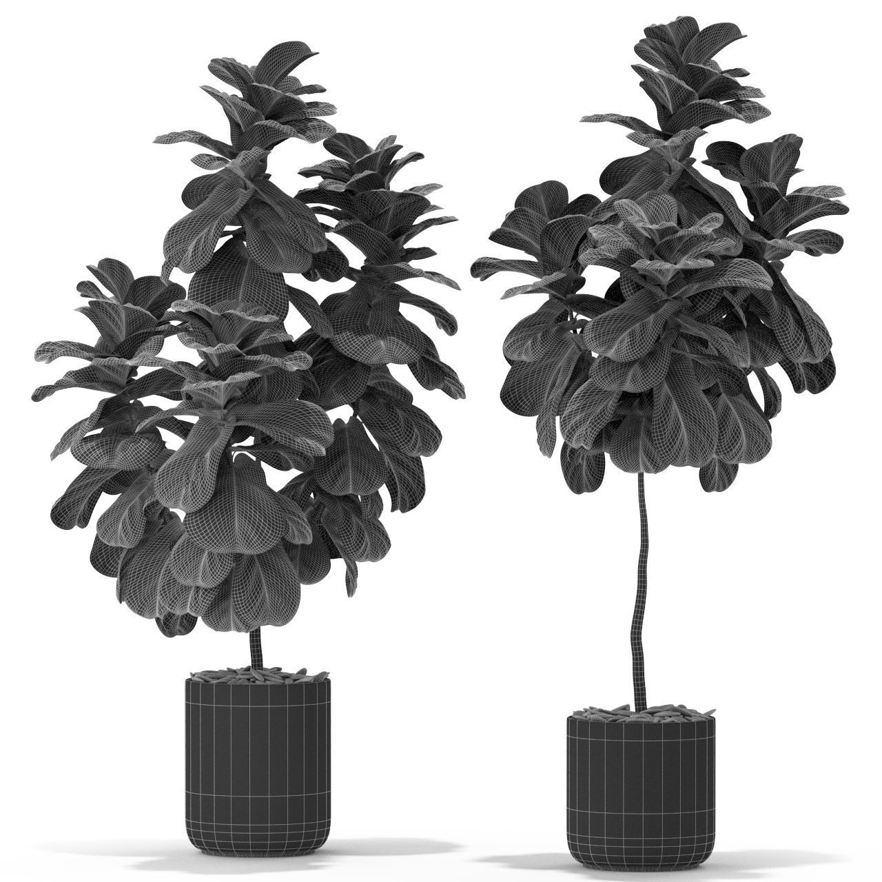 Plants collection 366 3D model_4