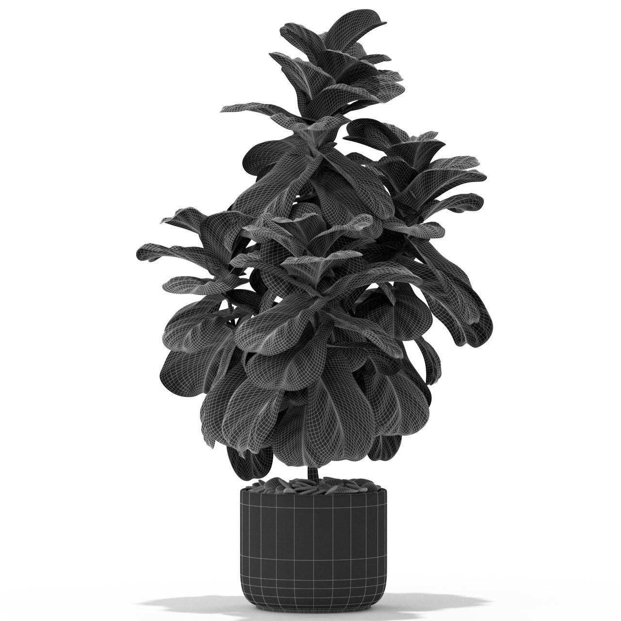Plants collection 366 3D model_3