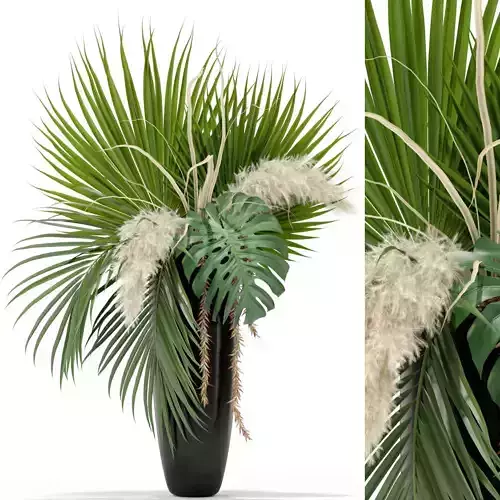 Plants collection 368