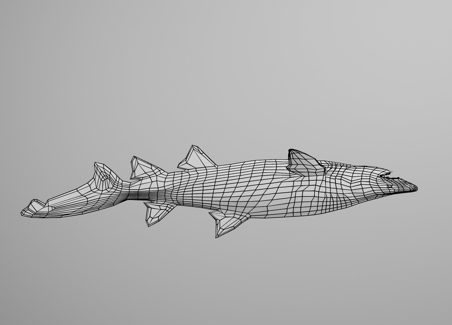 Sand Tiger Shark Low-poly 3D model_30