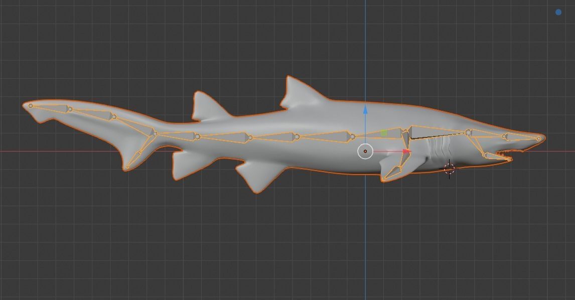Sand Tiger Shark Low-poly 3D model_22