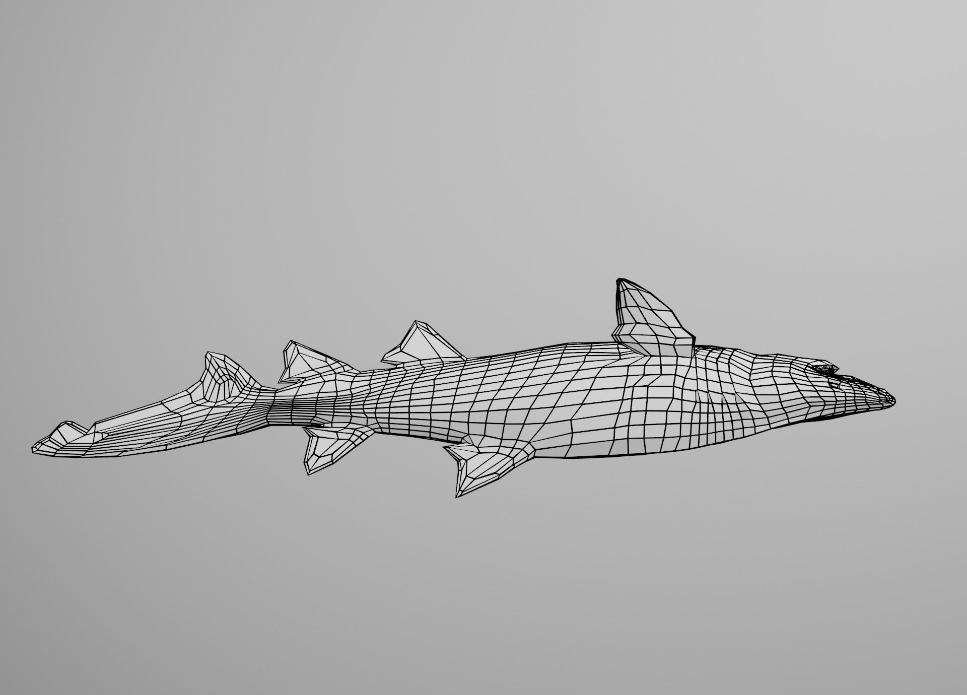 Sand Tiger Shark Low-poly 3D model_29