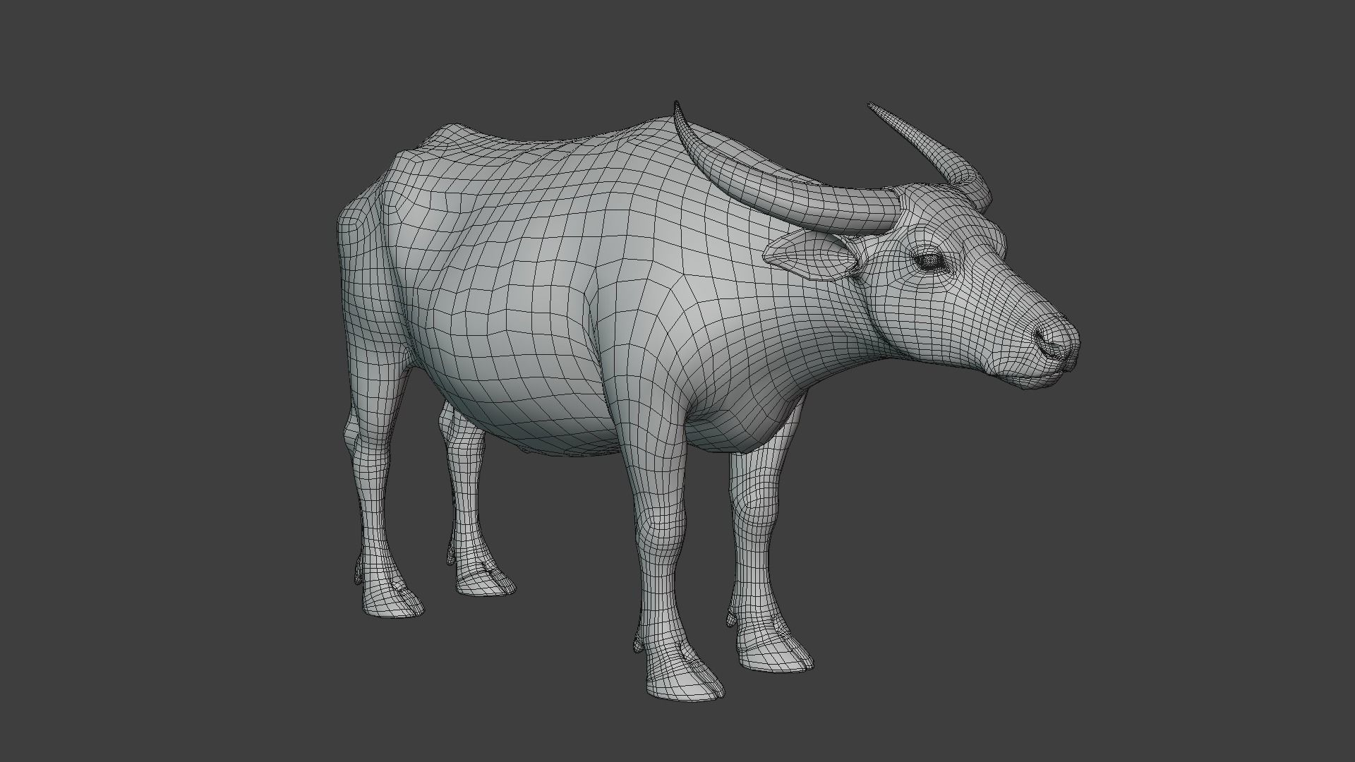 Asian Buffalo  3D model_5