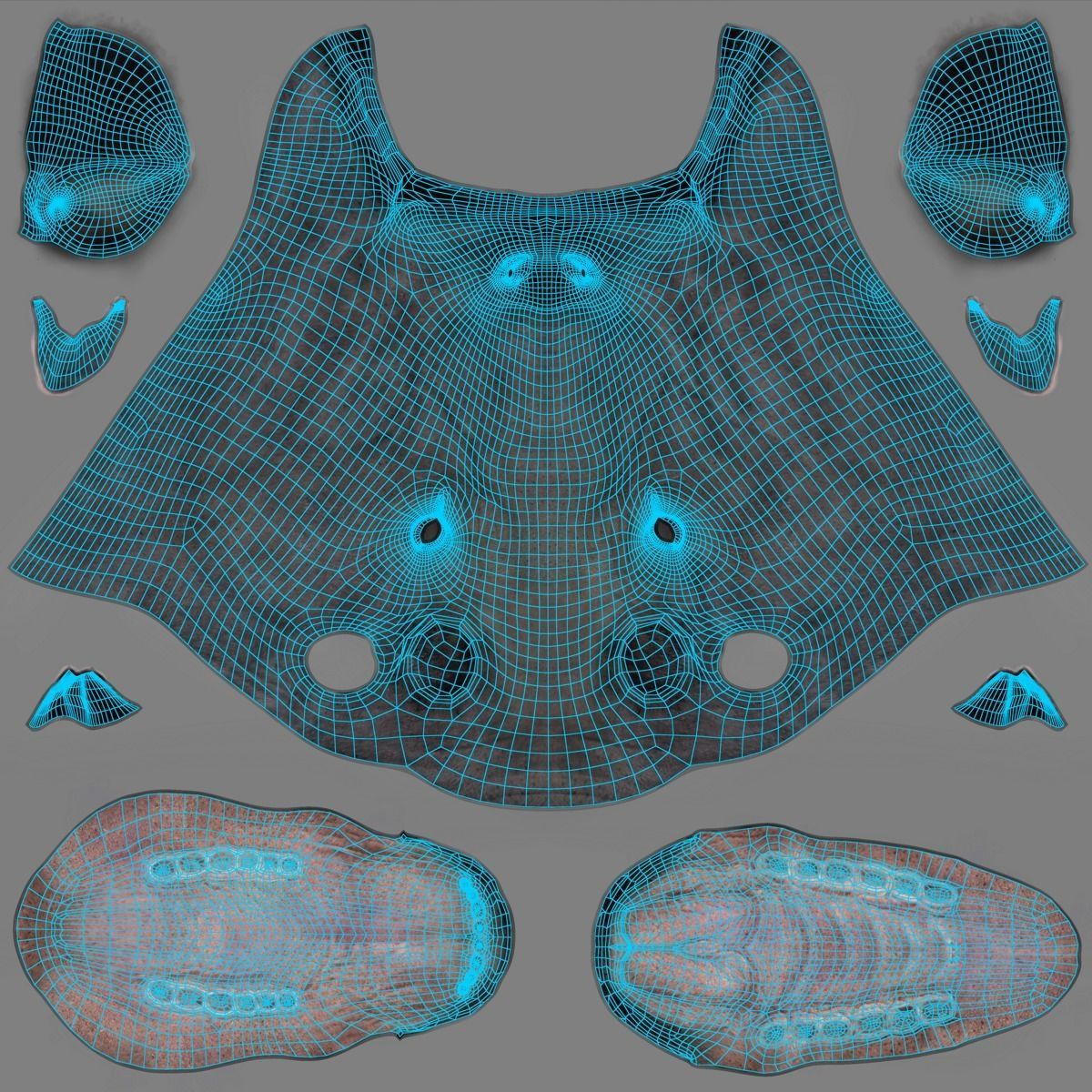 Asian Buffalo  3D model_13