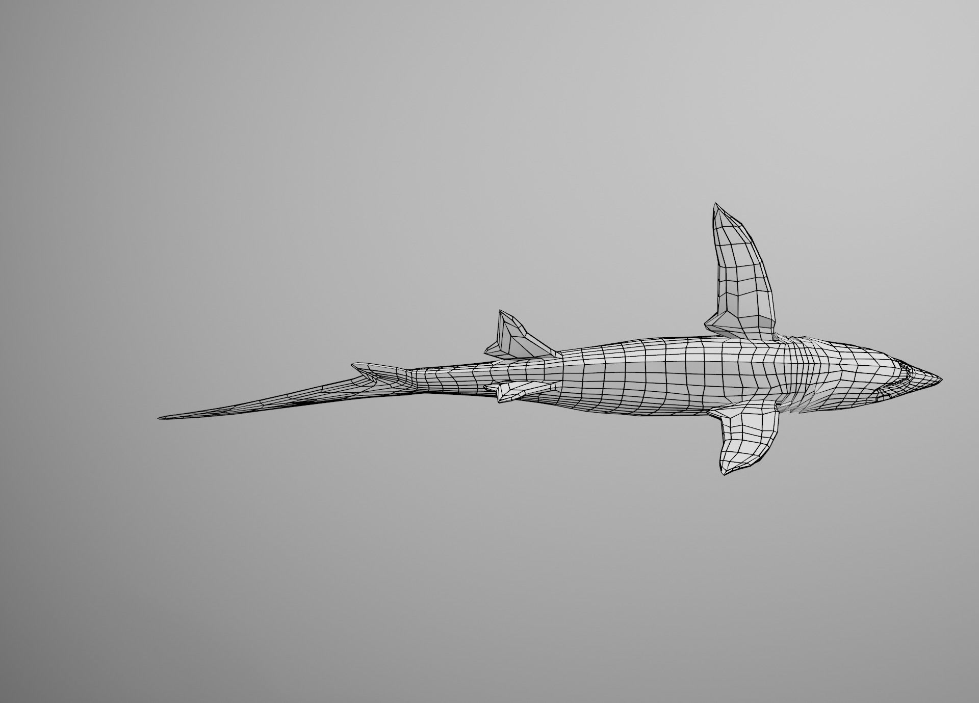 Thresher Shark Low-poly 3D model_33