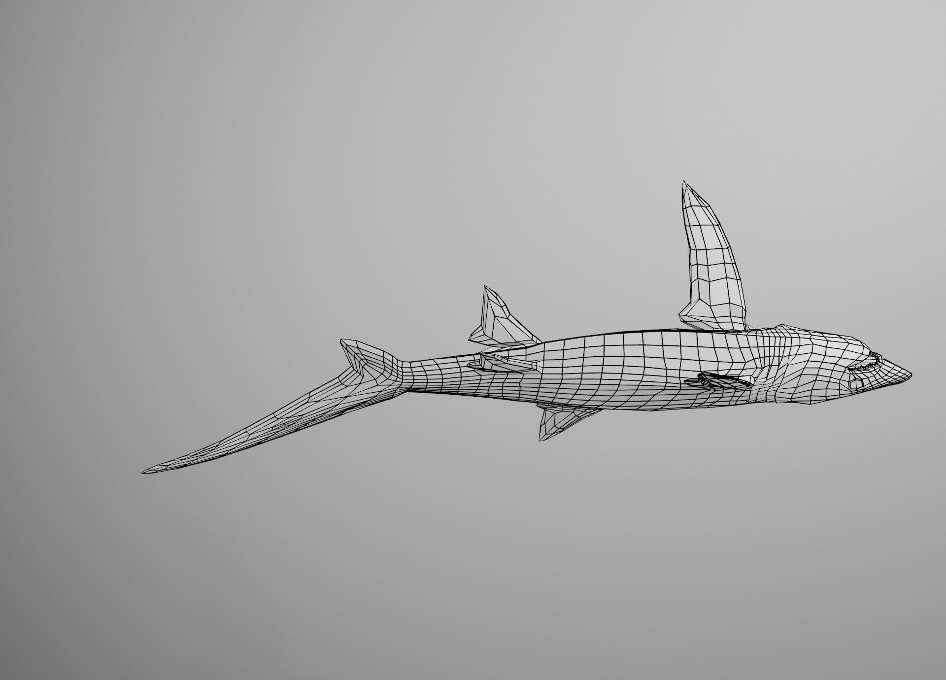 Thresher Shark Low-poly 3D model_32