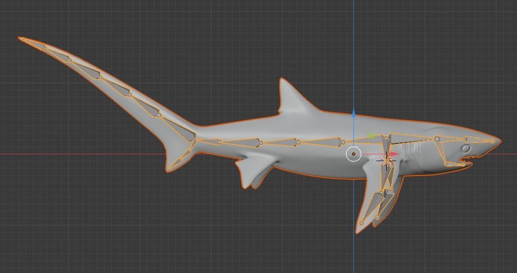 Thresher Shark Low-poly 3D model_21