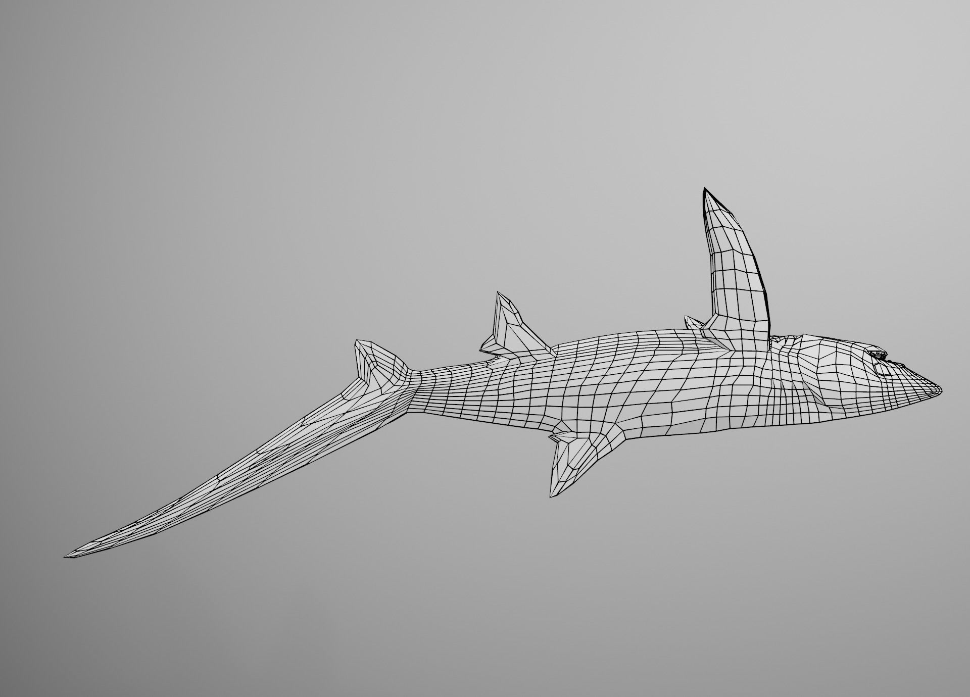 Thresher Shark Low-poly 3D model_29