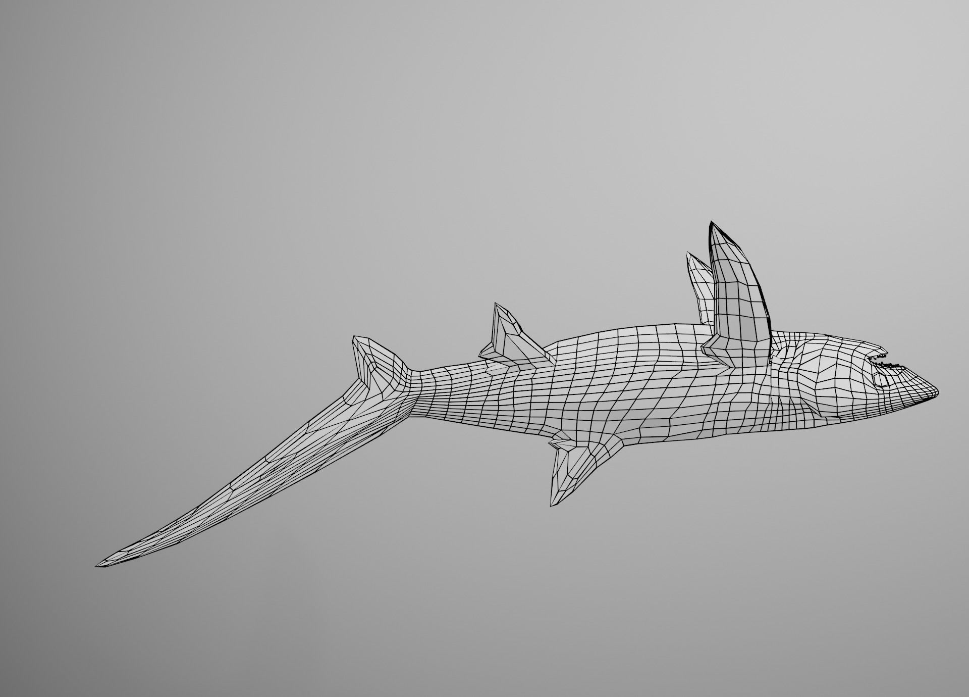 Thresher Shark Low-poly 3D model_30