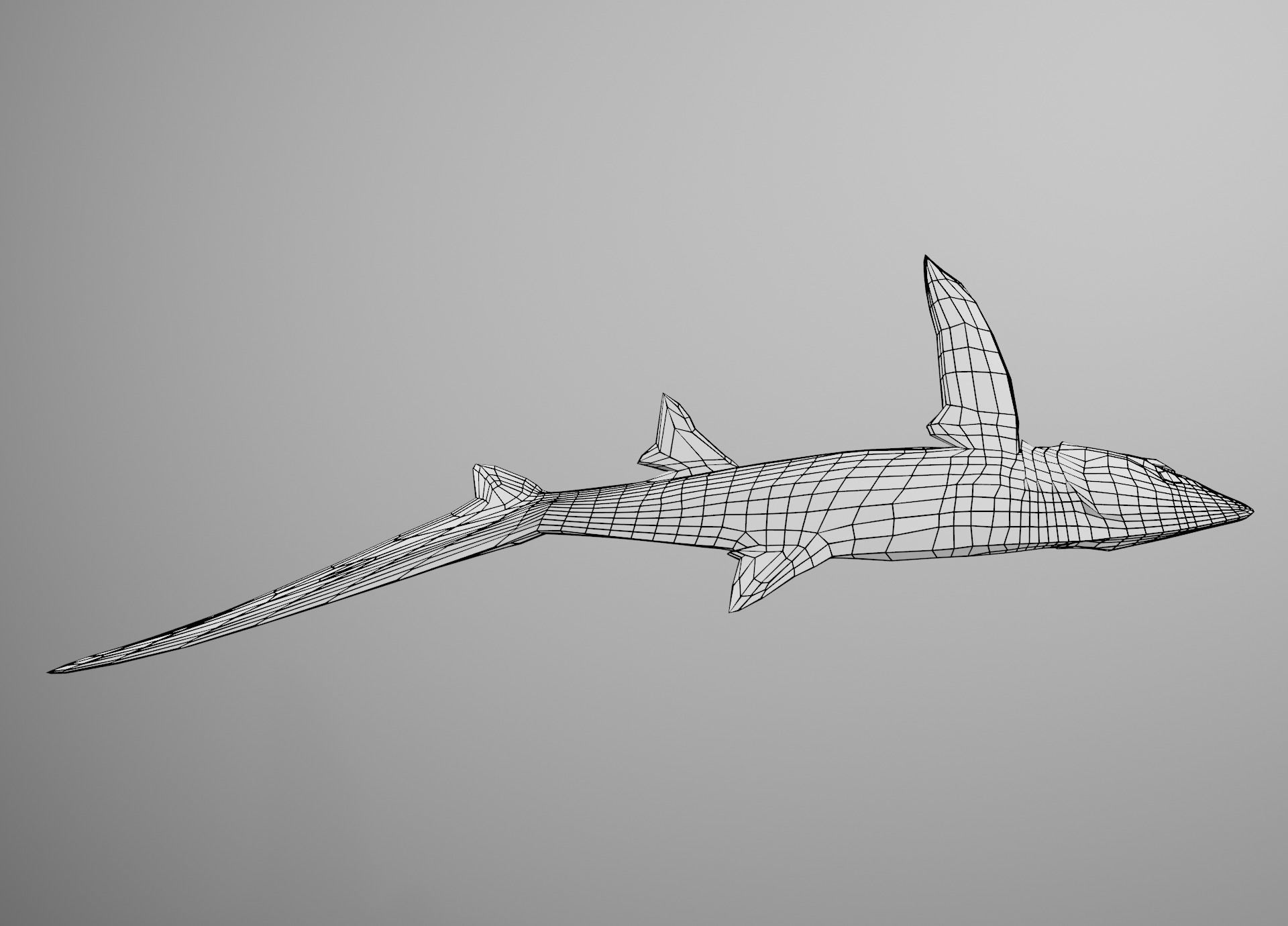 Thresher Shark Low-poly 3D model_28
